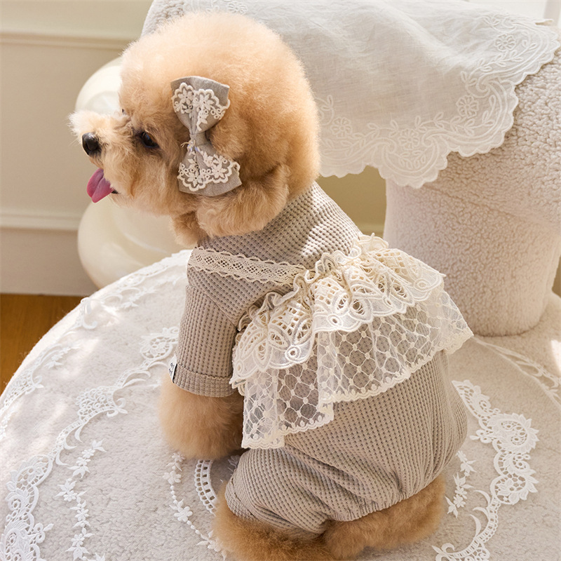 Lace Teddy Lingerie - Pet Spring Jumpsuit Cute Lace Camisole