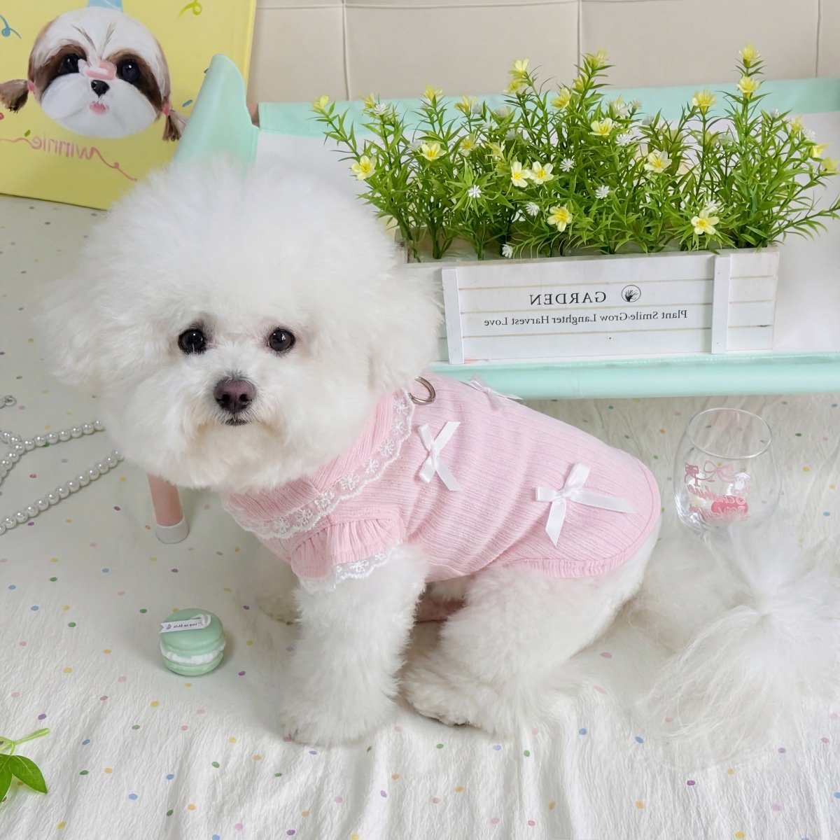 Pet Spring Lace Bow Vest Can P - مراجعة Lace Teddy Lingerie وسعره