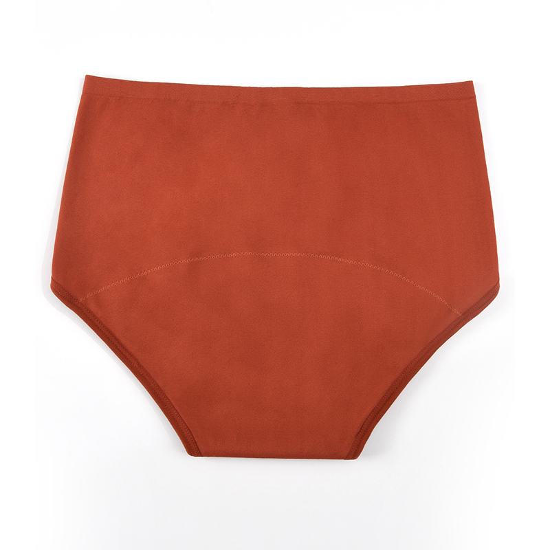 Women’s Seamless Period Pantie - مراجعة Period Panty Absorbent وسعره