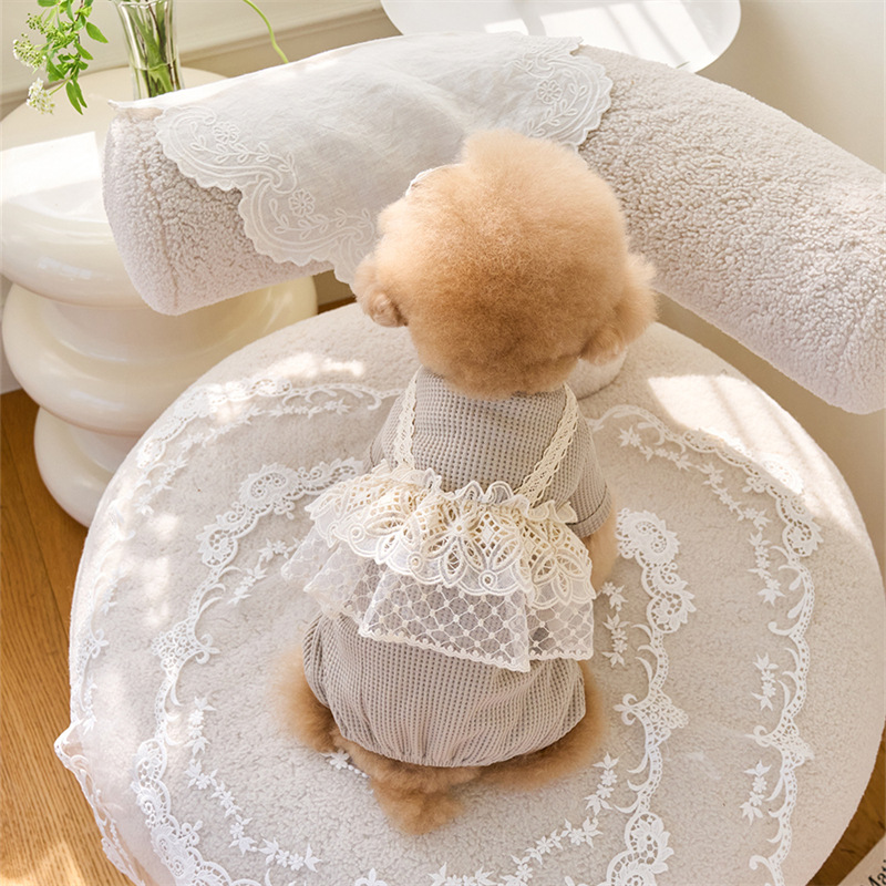 Pet Spring Jumpsuit Cute Lace  - مراجعة Lace Teddy Lingerie وسعره