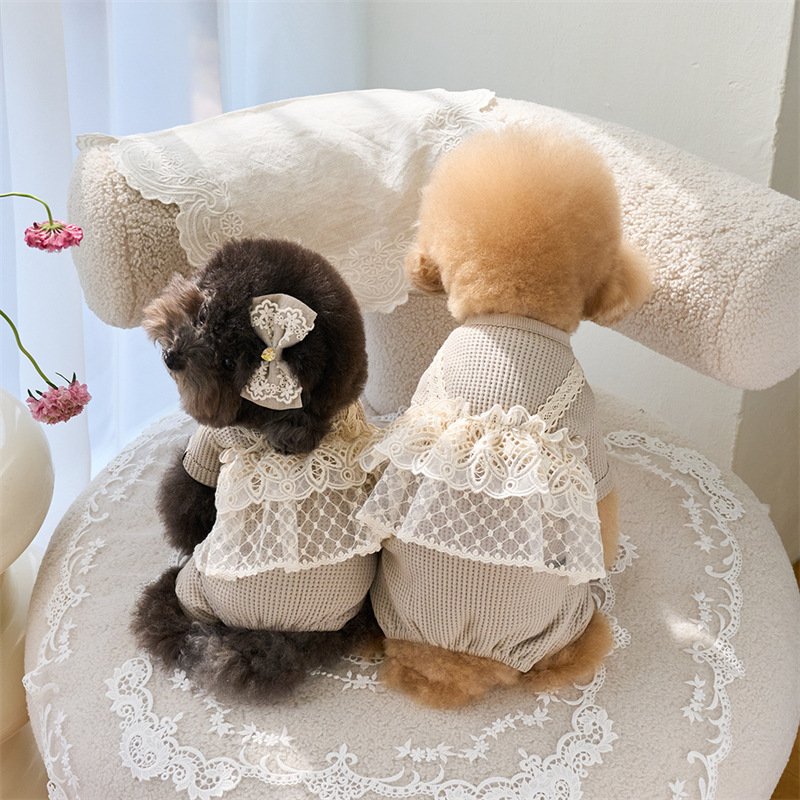 Pet Spring Jumpsuit Cute Lace  - مراجعة Lace Teddy Lingerie وسعره