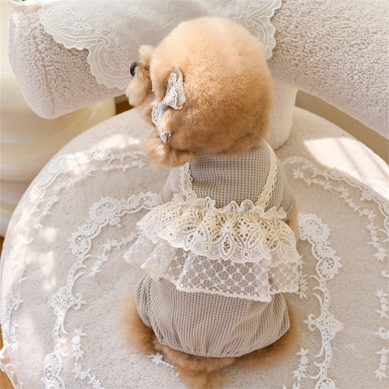 Pet Spring Jumpsuit Cute Lace  - مراجعة Lace Teddy Lingerie وسعره