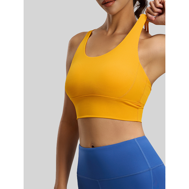 2026 New Women Ribbed High Imp - مراجعة Sports Bra High Impact وسعره
